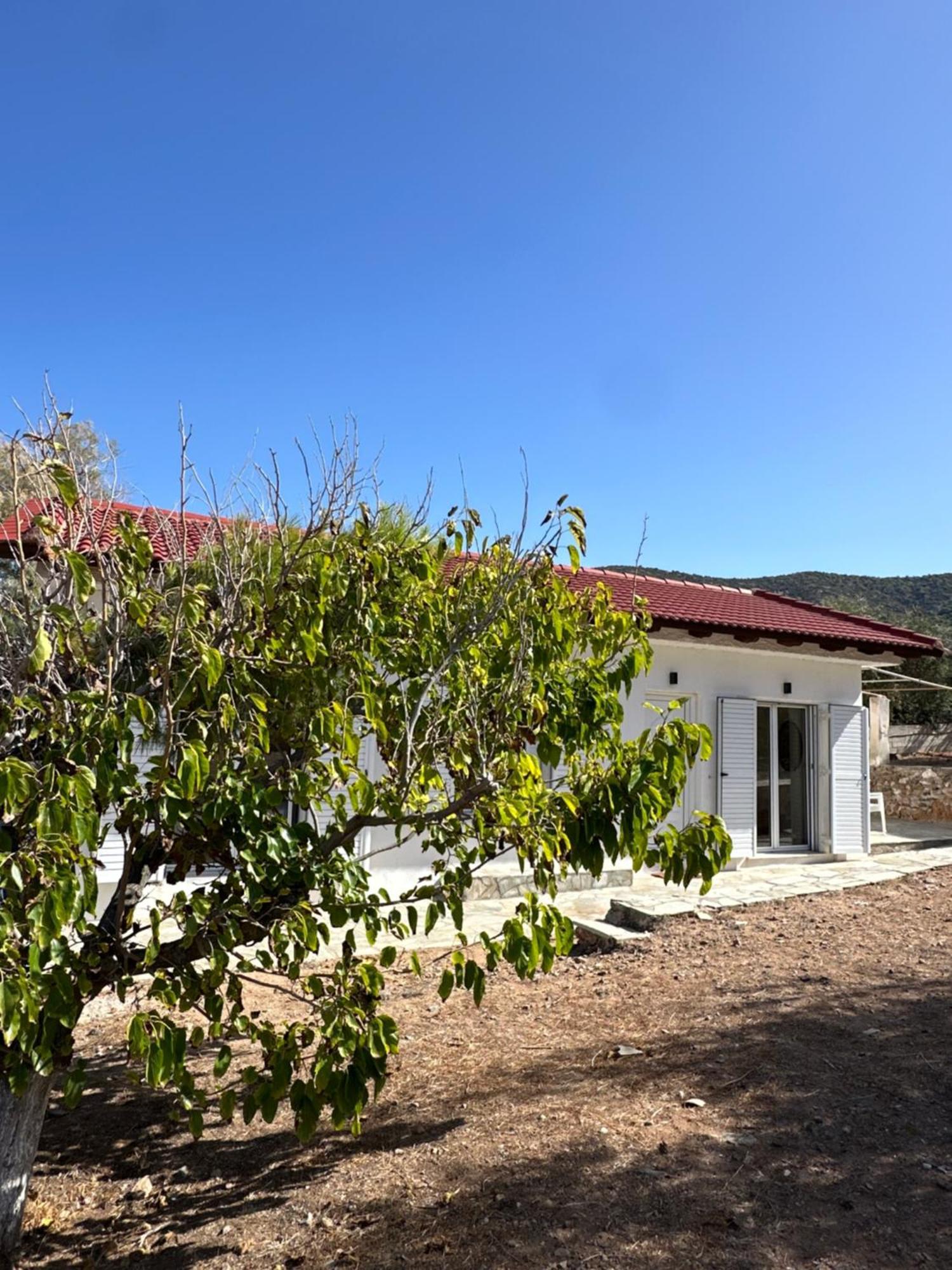 Coast Cottage Porto Rafti-Avlaki Εξωτερικό φωτογραφία